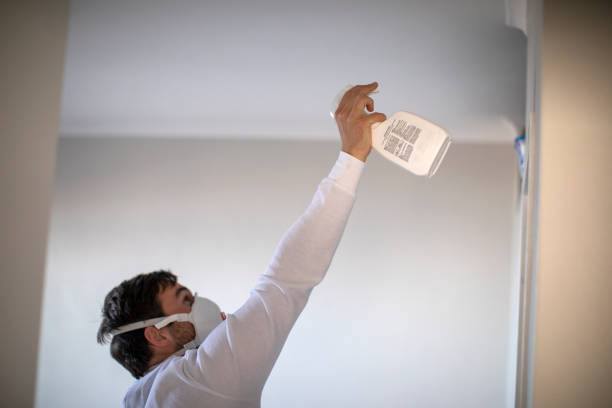 Best Health and Safety Mold Remediation in Indian Head Park, IL